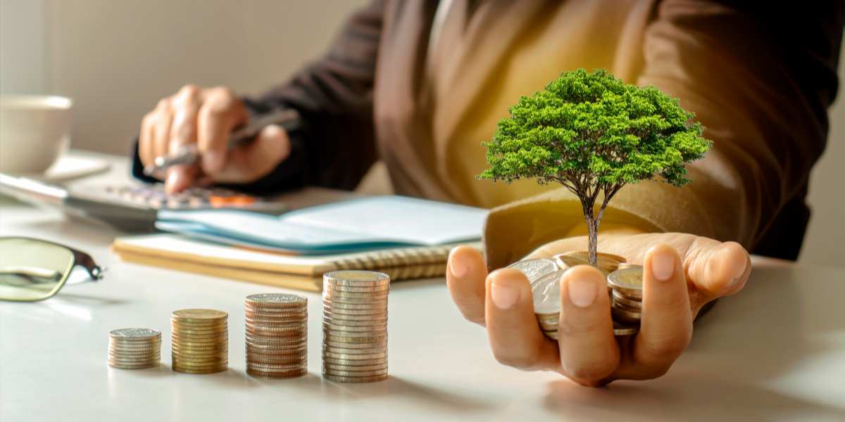 An open hand holding a pile of coins with a small tree growing out of them next to ascending stacks of coins on a desk, representing financial support and Sanctuary Scholarships for UK university students.